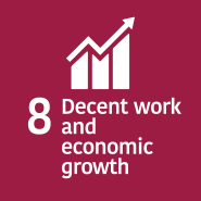 SDG 8 Decent Work & Economic Growth