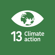 SDG 13 Climate Action