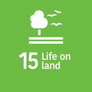 SDG 15 Life on Land