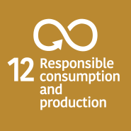 SDG 12 Responsible Consumption & Production