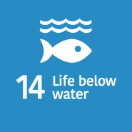 SDG 14 Life Below Water