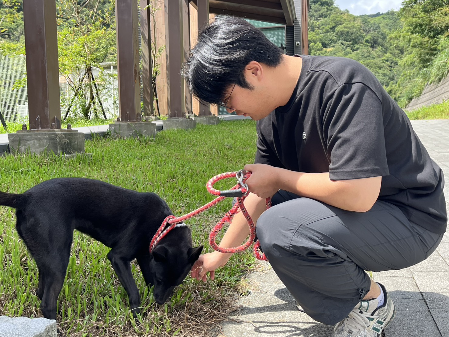 韓國家畜衛生防疫支援本部人員表示,瑞芳動物之家犬隻十分親人