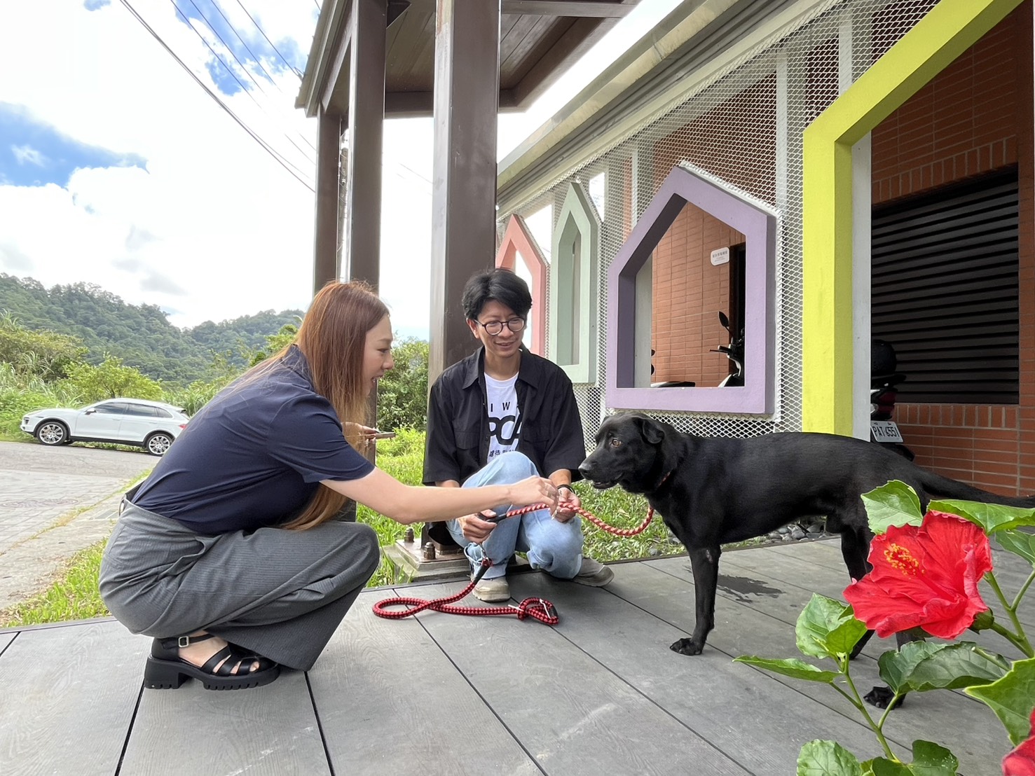 韓國家畜衛生防疫支援本部金科長拿零食與犬隻互動,並表示犬隻相當社會化