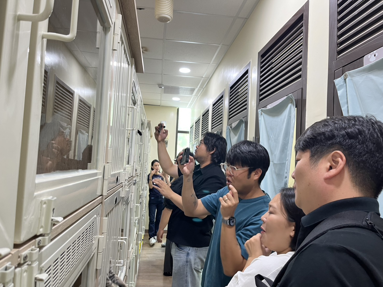 韓國家畜衛生防疫支援本部防疫人員紛紛拿起手機,拍攝貓舍內的可愛貓咪